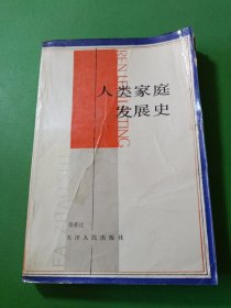 人类家庭发展史