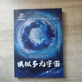 模拟多元宇宙