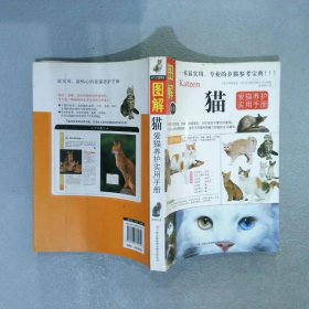 猫：爱猫养护实用手册