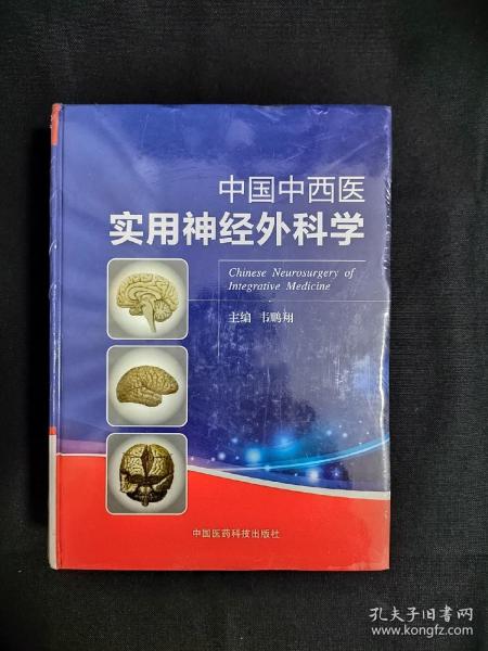 中国中西医实用神经外科学