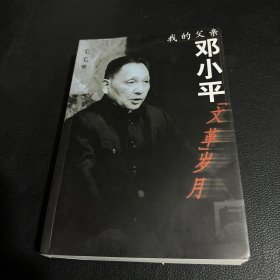 我的父亲邓小平：文革岁月 光盘