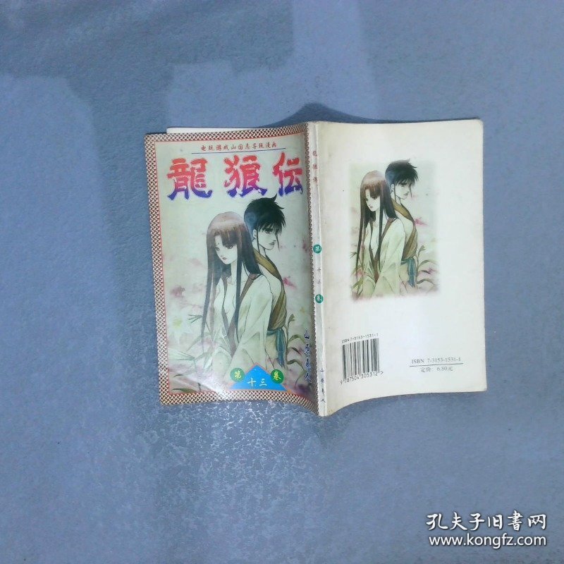 龙狼传（第十三卷）