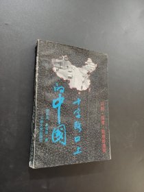 十字路口上的中国,问题·探索·艰难的选择