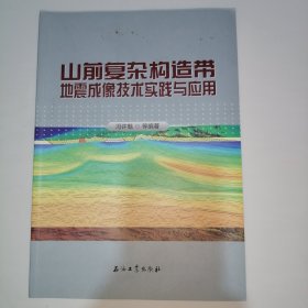 山前复杂构造带地震成像技术实践与应用