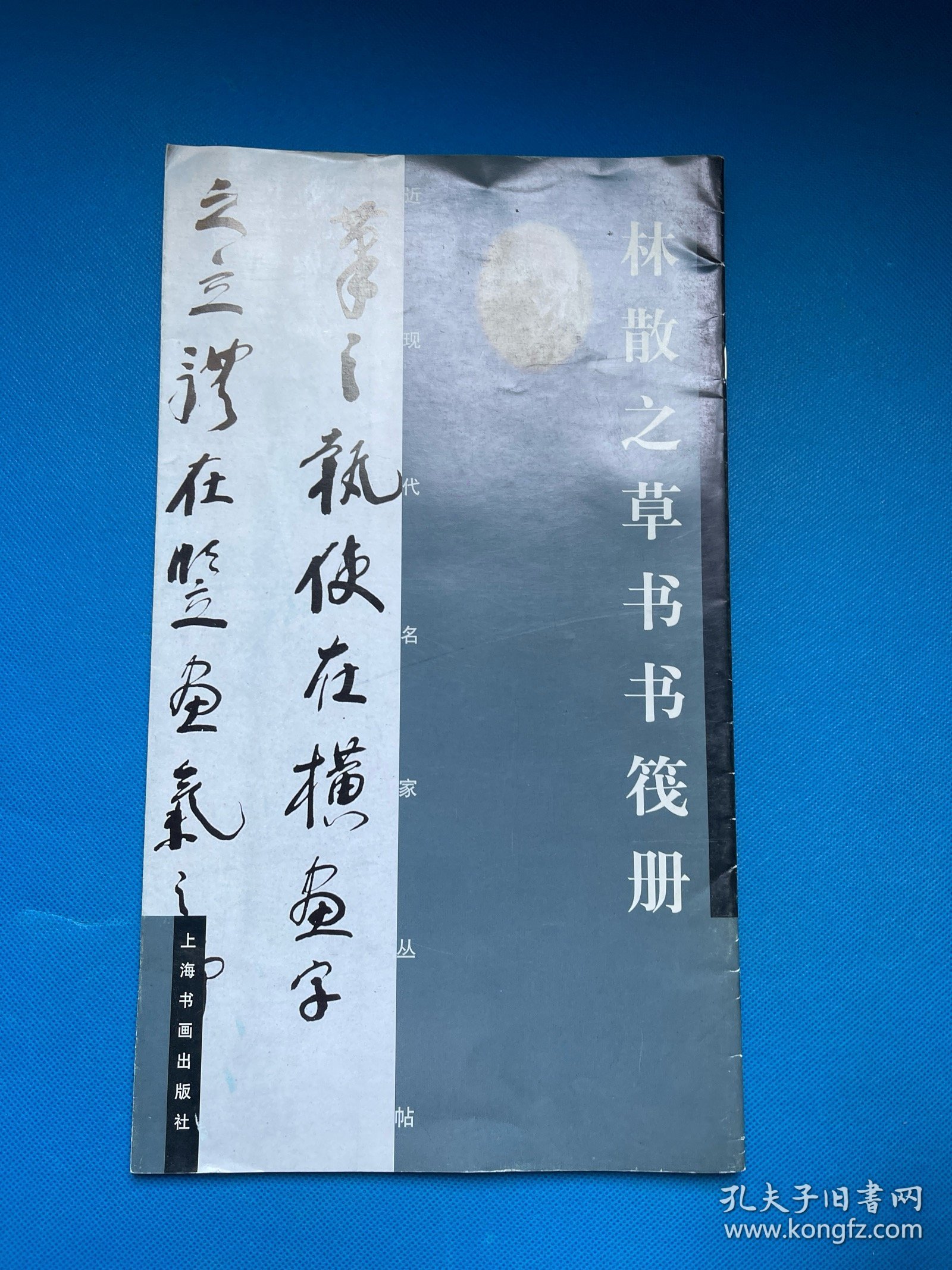 近现代名家丛帖:林散之草书书筏