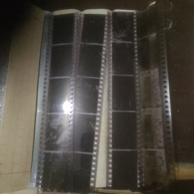 底片25小张(书法比赛)