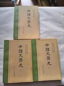 中国文学史一套