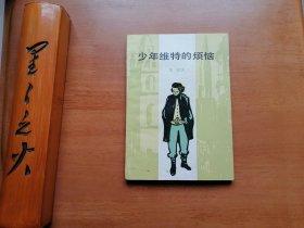 少年维特的烦恼