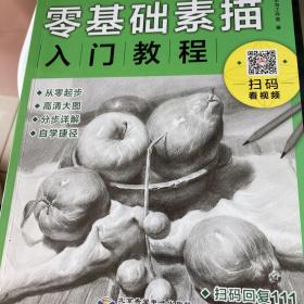 零基础素描入门教程：静物与静物组合