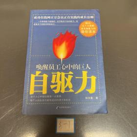 自驱力：唤醒员工心中的巨人