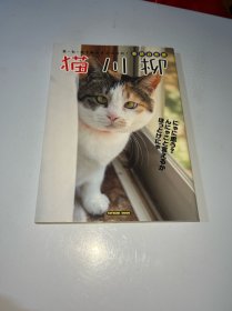 猫には優しく＆人には厳しく⁉︎