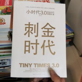 小时代3.0刺金时代（修订本）