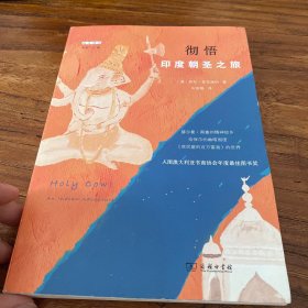 彻悟：印度朝圣之旅(远方译丛)