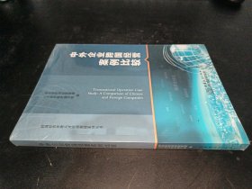 中外企业跨国经营案例比较/跨国经营管理人才培训教材系列丛书