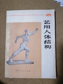 艺用人体结构