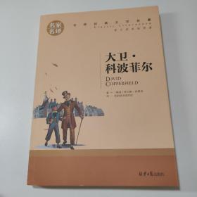 大卫 科波菲尔 中小学生课外阅读书籍世界经典文学名著青少年儿童文学读物故事书名家名译原汁原味读原著