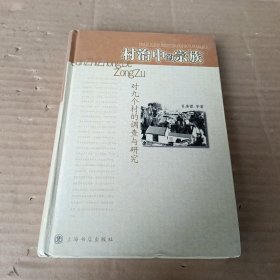 村治中的宗族：对九个村的调查和研究