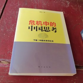 危机中的中国思考(下卷):中国未来何处去