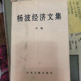 杨波经济文集