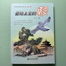 黑眼圈的赛鸽第二部--亚陆上空的精灵