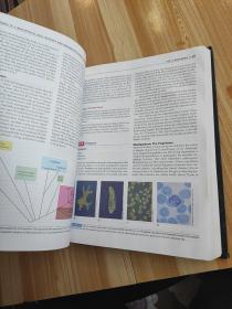 Brock Biology of Microorganisms (10th Edition)