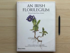 AN IRISH FLORILEGIUM