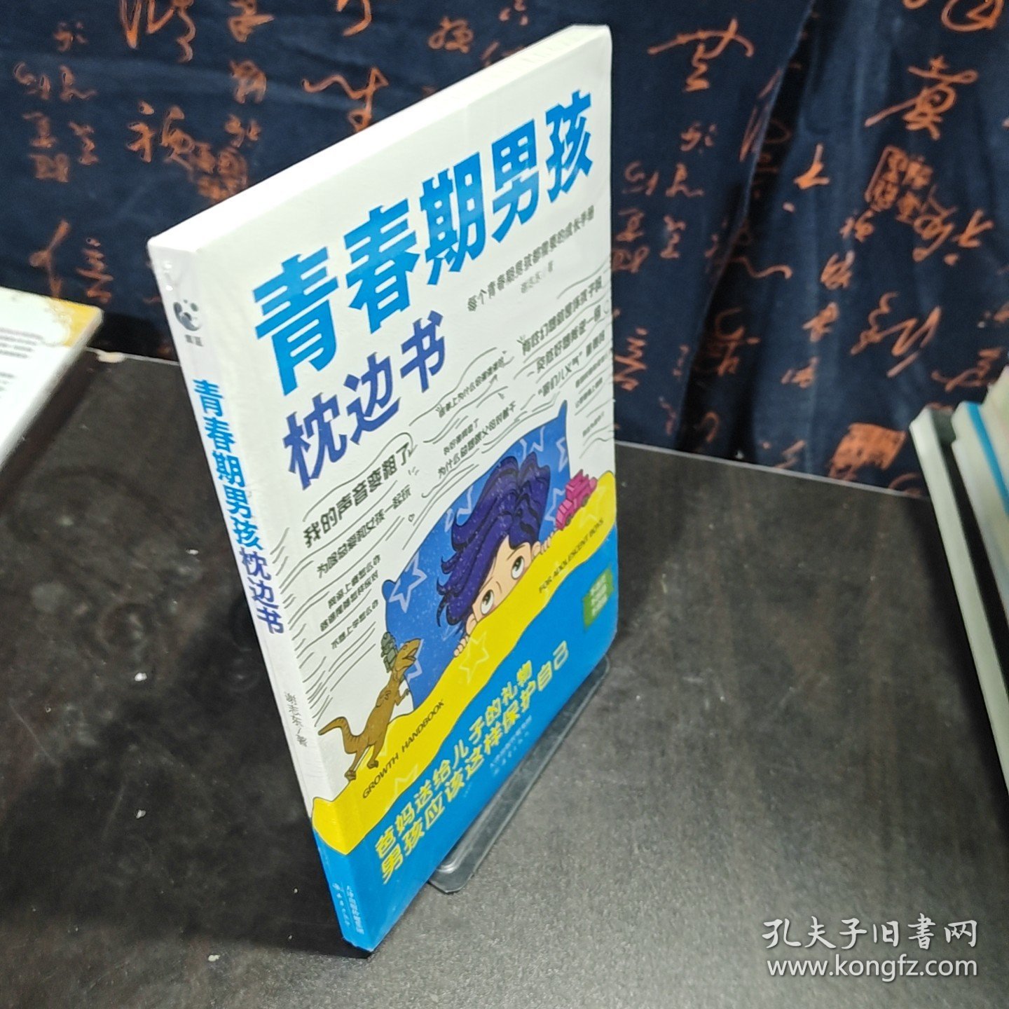青春期男孩枕边书