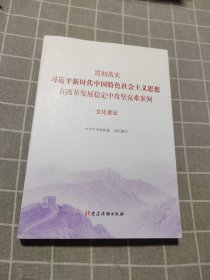 文化建设（贯彻落实习近平新时代中国特色社会主义思想在改革发展稳定中攻坚克难案例）