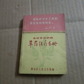 农村常见疾病《草药治疗手册》