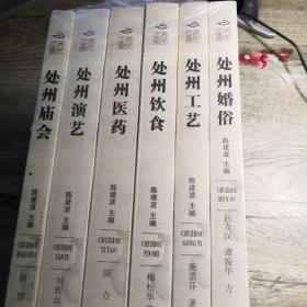 丽水瓯江文化丛书 第四辑 处州饮食 处州庙会 处州婚俗 处州演艺 处州工艺 处州医药 全6册 （未拆封）