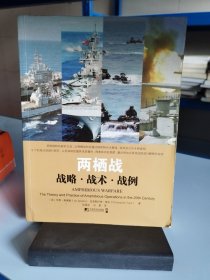 两栖战：战略·战术·战例