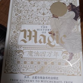 【包邮】（精装）智慧宫丛书017·魔法四万年：克里斯·戈斯登著 《耶路撒冷三千年》作者西蒙·蒙蒂菲奥里倾情推荐 巫术、占星与炼金术的全球史