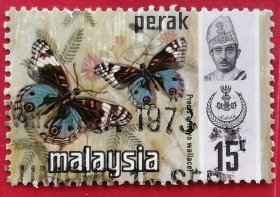 马来西亚邮票 霹雳州 1971年 蝴蝶 蓝地蛱蝶 7-6 信销