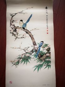 1982年挂历 (单张)田世光工笔花鸟画《报春国》，34X77cm