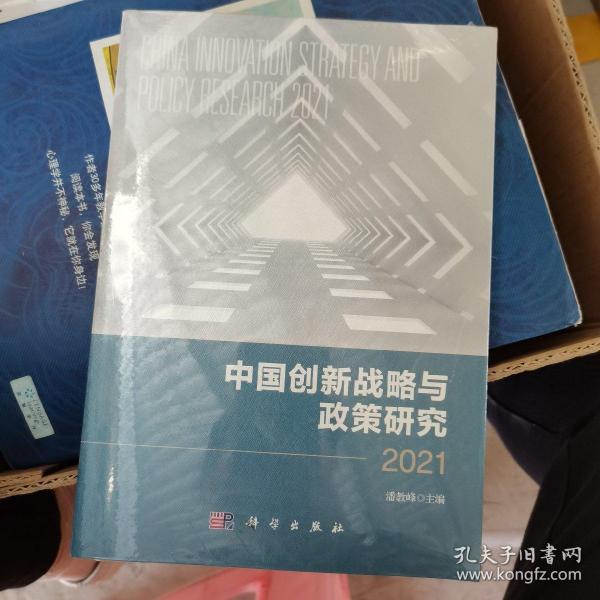 中国创新战略与政策研究 2021