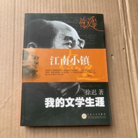 我的文学生涯