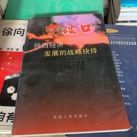 突破口:陕西经济发展的战略抉择
