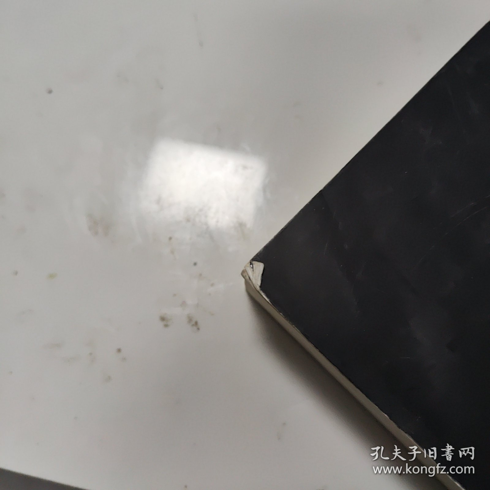 化学武器：防御与销毁