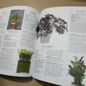 RHS Practical House Plant Book: Choose Well, Display Creatively, Nurture & Maintain, 175 Plant Profiles