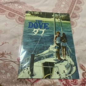 电影场刊 鸽子号 The Dove