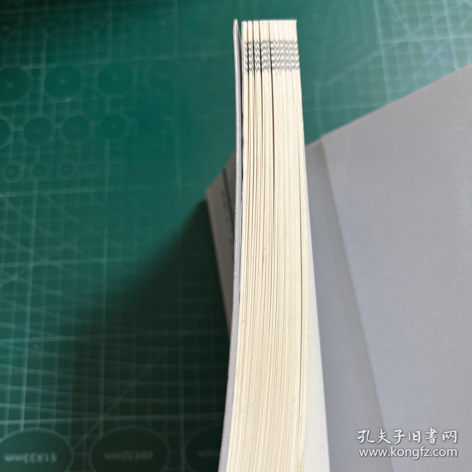 中国经济改革30年：政府转型卷