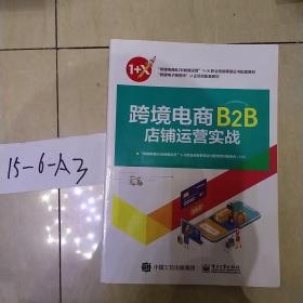 跨境电商B2B店铺运营实战