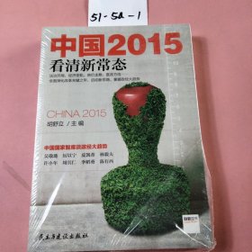 中国2015：看清新常态