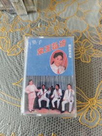 磁带 坠子 宋王私访 未开封