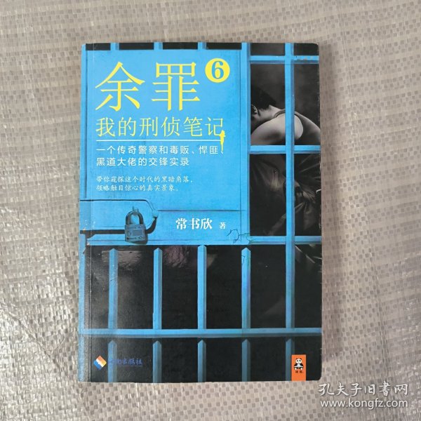 余罪6：我的刑侦笔记