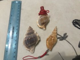 包邮！海螺 挂件把件 一组