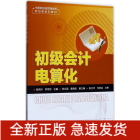 初級會(huì)計(jì)電算化