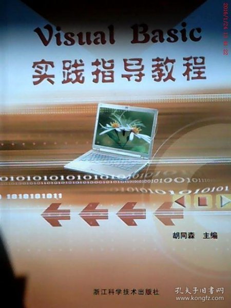 世纪精品计算机等级考试书系：Visual Basic实践指导教程（附光盘）