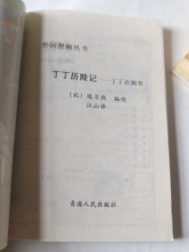 丁丁历险记：(外国漫画丛书)6本合售