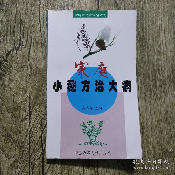 家庭常见病诊治系列：家庭小秘方治大病